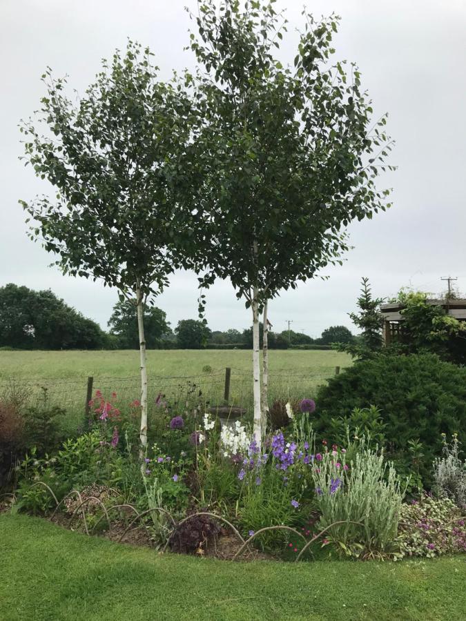 Bed and Breakfast Fair View Marden  Exterior foto